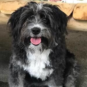 Meet your Posher, Melanie